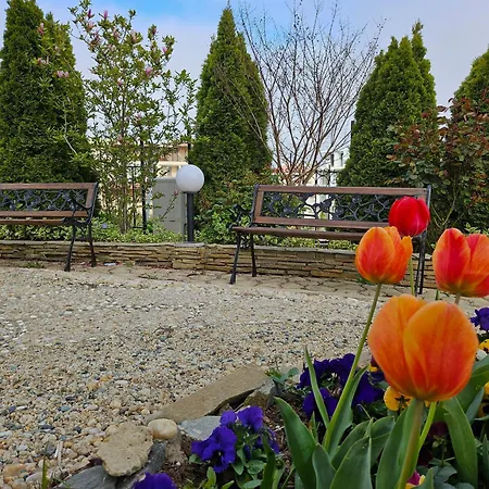 азалия * Sozopol