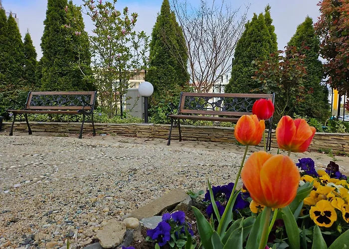 азалия * Sozopol